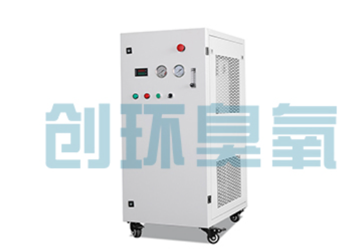 舟山石斑鱼养殖水质调控完整指南:臭氧发生器配置与操作步骤