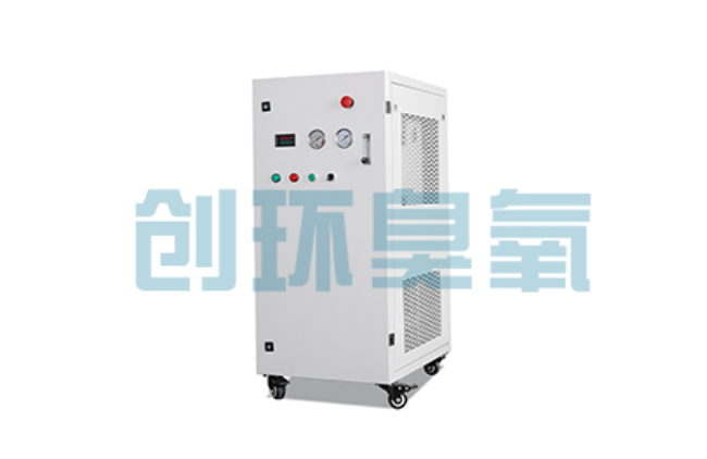 舟山比传统换水更高效?臭氧发生器在石斑鱼养殖中的水质净化原理解析