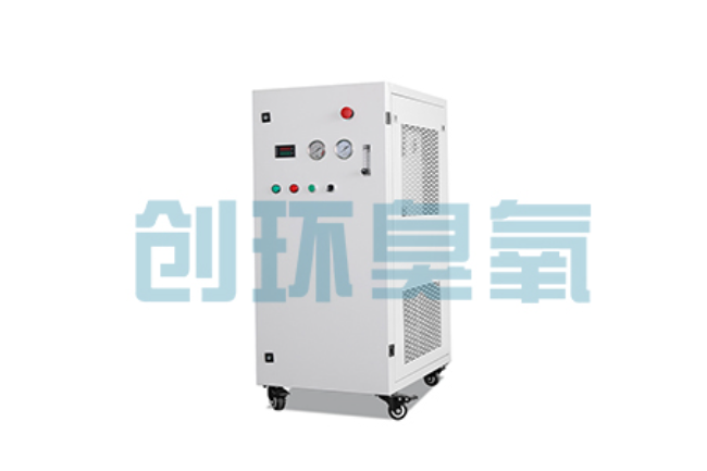 舟山比传统换水更高效?臭氧发生器在石斑鱼养殖中的水质净化原理解析